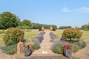 Photo 10- click for photo gallery